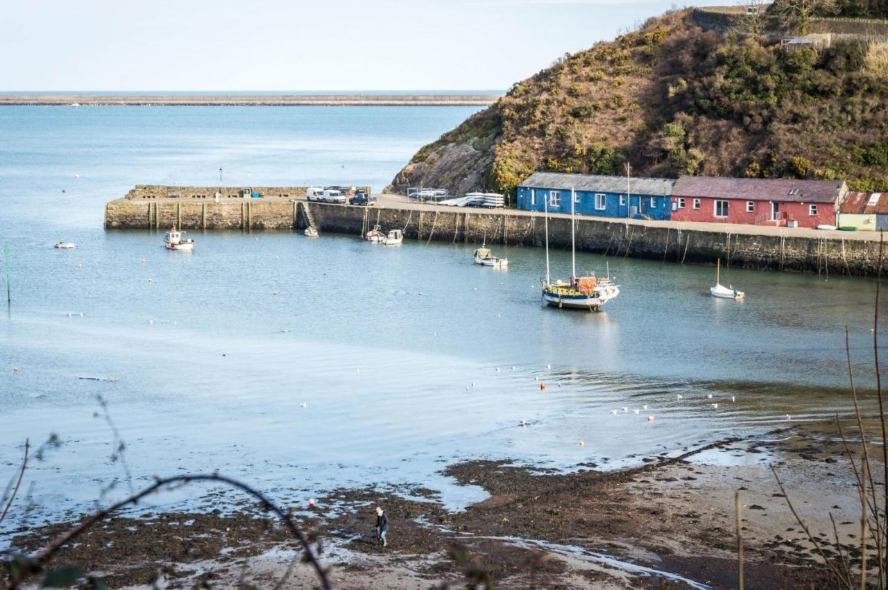 Rock Cottage - 3 Bedroom Holiday Home - Fishguard Bagian luar foto
